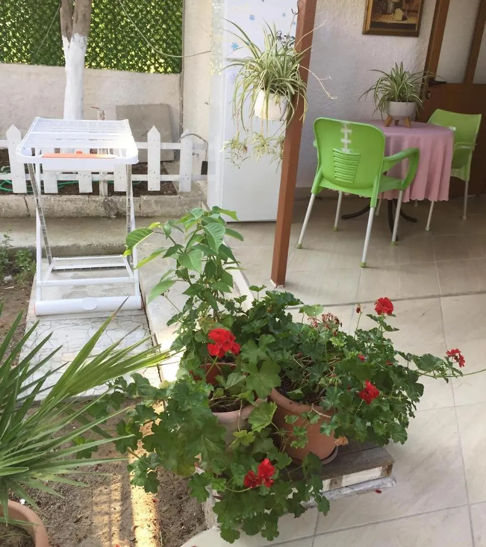 Albear Holiday Home Vlorë Albanie